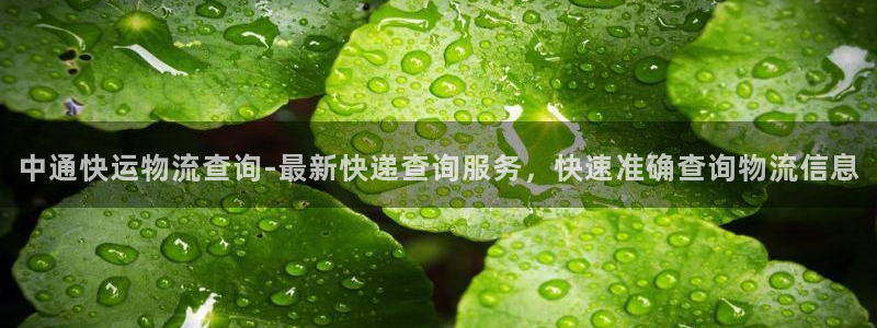 28圈在线预测
