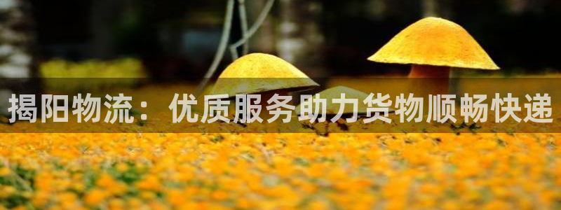 28圈.ccmpc28：揭阳物流：优