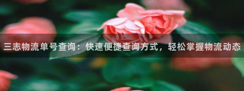 28圈加拿大开奖：三志物流单号查询：