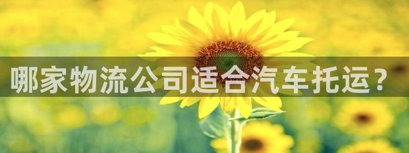 28圈初始资金密码在哪里改：哪家物流