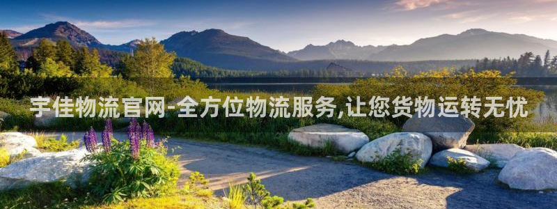 pc28圈怎么注册：宇佳物流官网-全