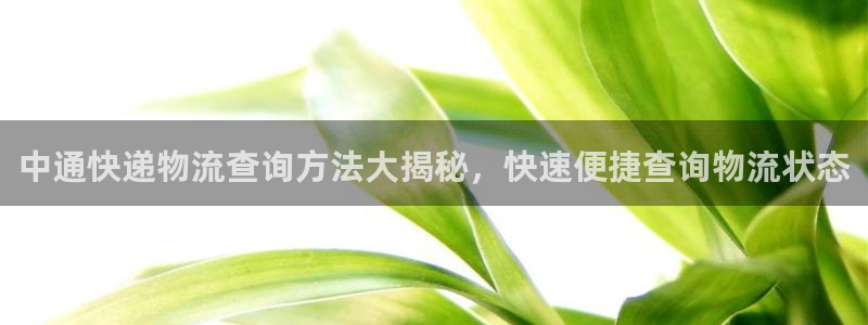 28圈充值不处理怎么办：中通快递物流