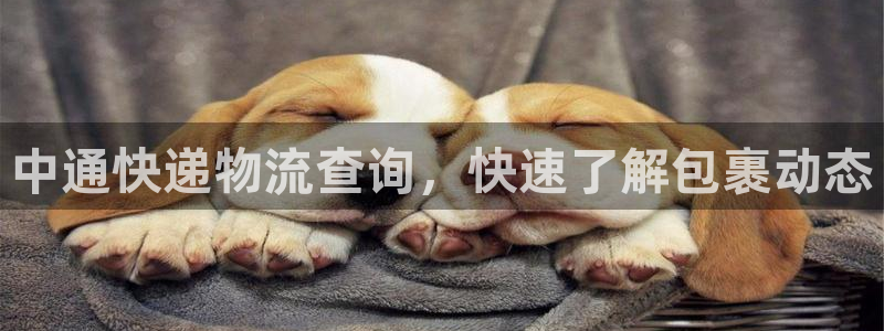 28圈为什么打不开