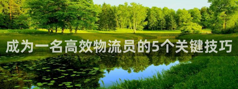 28圈官网版所有版本：成为一名高效物