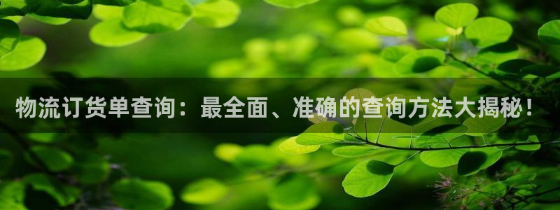 28圈反水怎么算：物流订货单查询：最