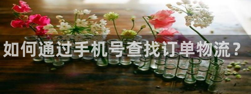 28圈.ccm正版：如何通过手机号查