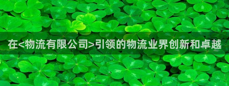28圈稳吗：在<物流有限公司>引领的
