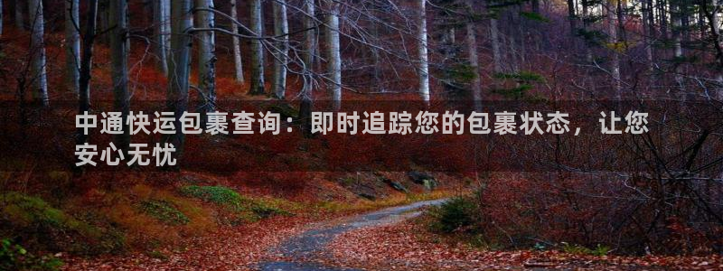 28圈登录流程：中通快运包裹查询：即
