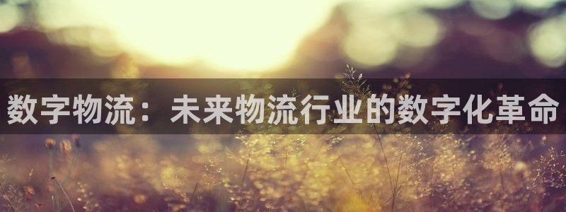 28圈官方：数字物流：未来物流行业的