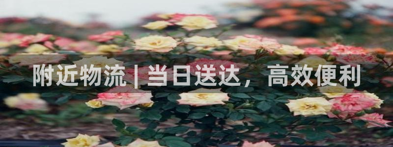 28圈怎么注册下载：附近物流 | 当