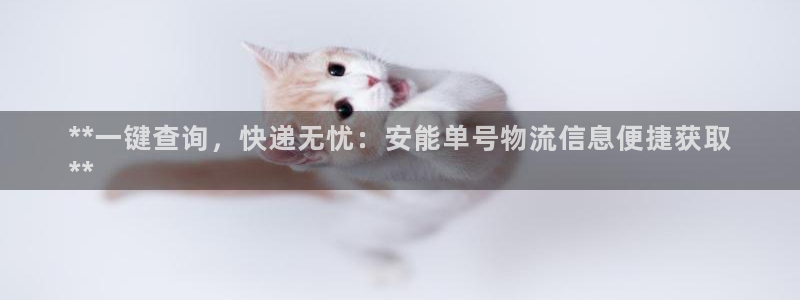 28圈p扣除