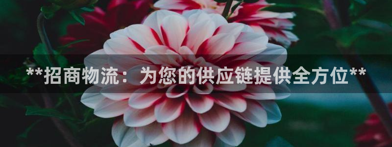 28圈pg麻将胡了2老是空转