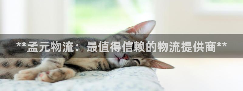 28圈app注册地址：**孟元物流：