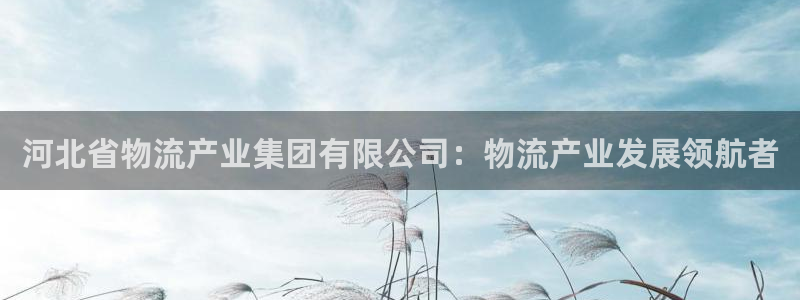 28圈黑吗