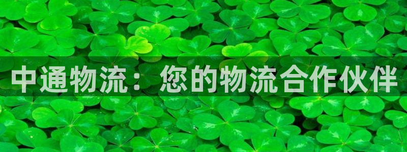 28圈怎么注册游戏名字：中通物流：您