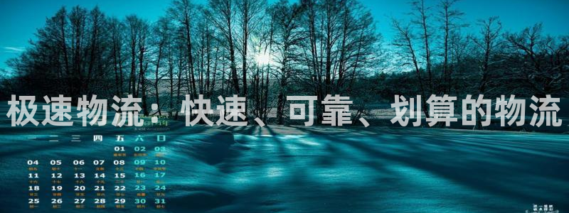 28圈里的财神：极速物流：快速、可靠