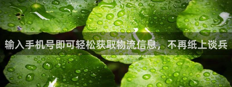 28圈预测