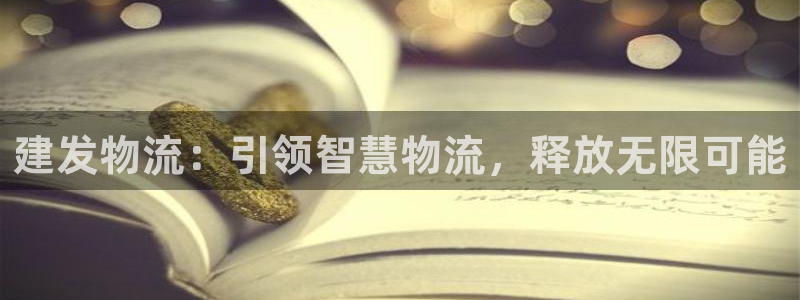 28圈为什么打不开：建发物流：引领智