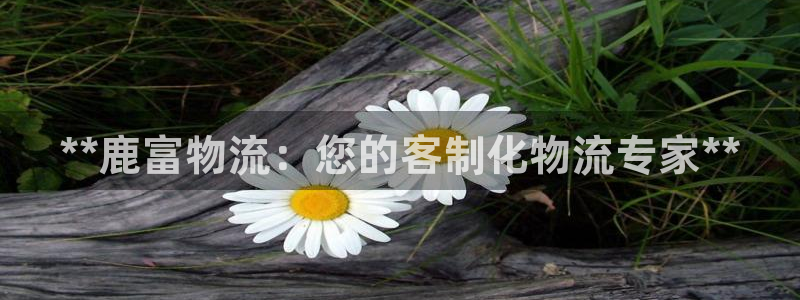 28圈加拿大能提现吗：**鹿富物流：