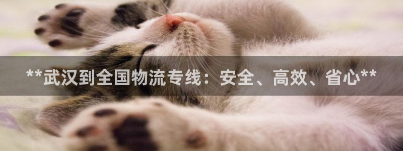 28圈登录网：**武汉到全国物流专线