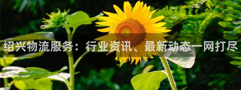 28圈怎么下载