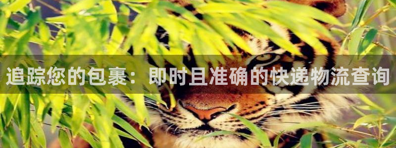28圈麻将胡了
