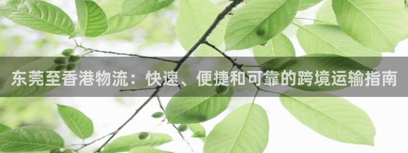 28圈怎么注册游戏名字：东莞至香港物