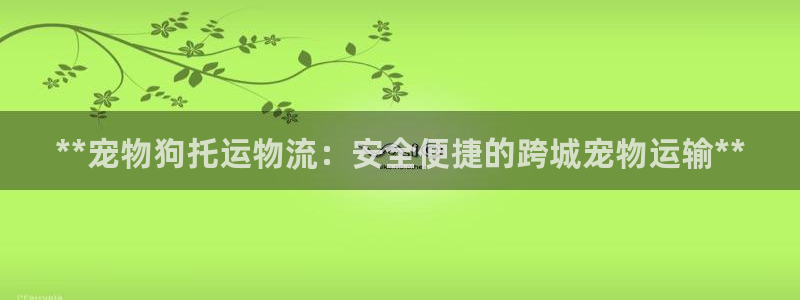 28圈为什么没有赢过一次：**宠物狗