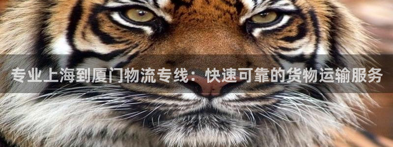 28圈黑不黑：专业上海到厦门物流专线