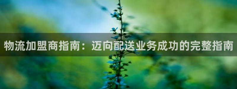 28圈pg麻将胡了2老是空转：物流加