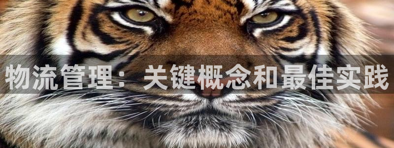 28圈app赢了500万