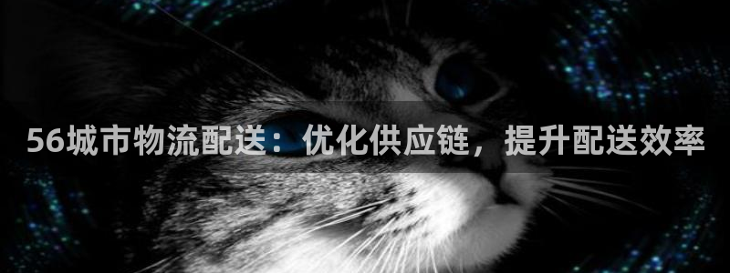 28圈开奖预测