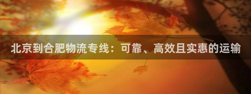 28圈游戏最新版