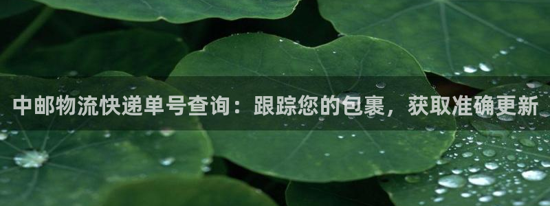 28圈p扣除