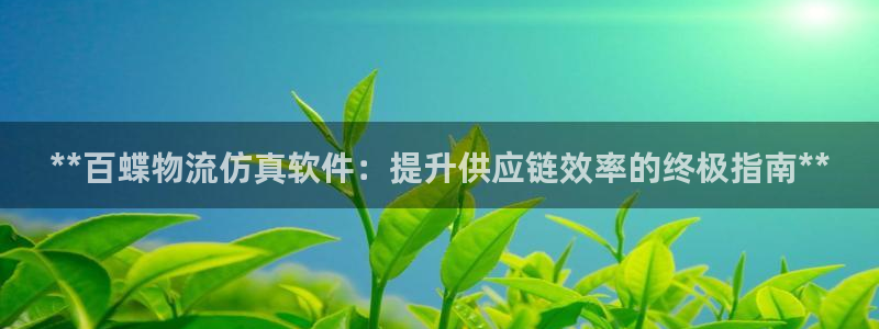 28圈能提现吗：**百蝶物流仿真软件