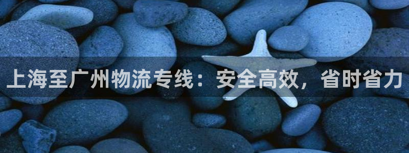 28圈辅助