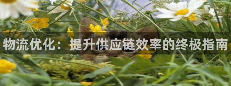 28圈.ccm2024