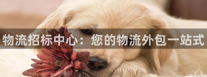 28圈注册账号：物流招标中心：您的物