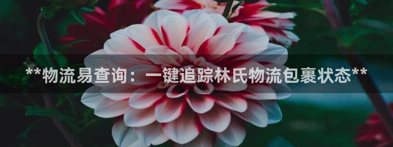 28圈加拿大开奖