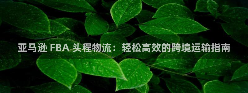 28圈推广链接是多少粉丝