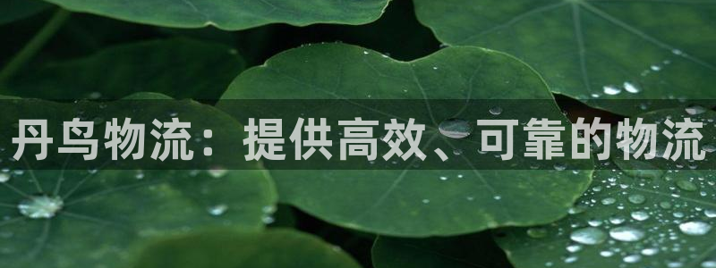 28圈充值不处理会怎么样