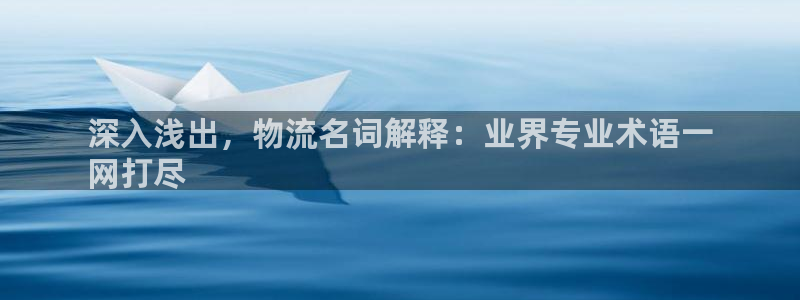 28圈登录不上咋回事：深入浅出，物流