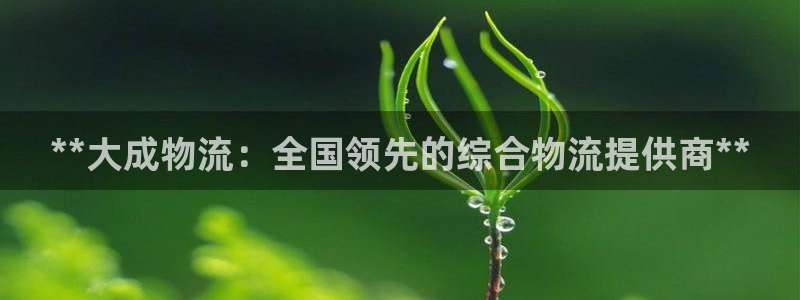 28圈充值不到账怎么回事