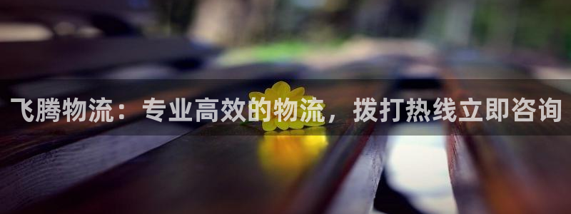 28圈链接：飞腾物流：专业高效的物流