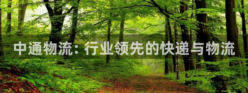 28圈稳吗：中通物流: 行业领先的快