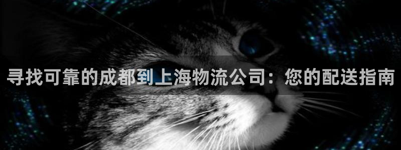 28圈电子