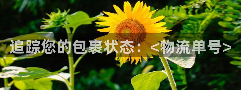南宫28圈怎么注册