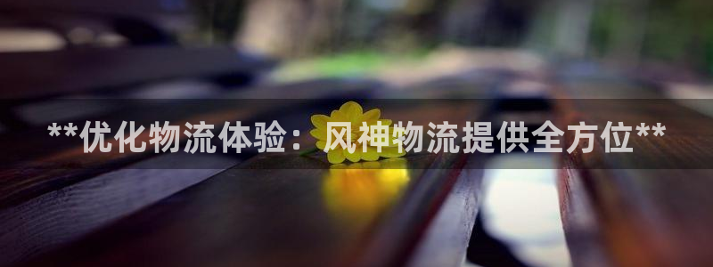 28圈软件