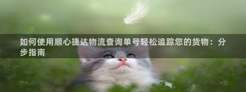 28圈加拿大技巧：如何使用顺心捷达物