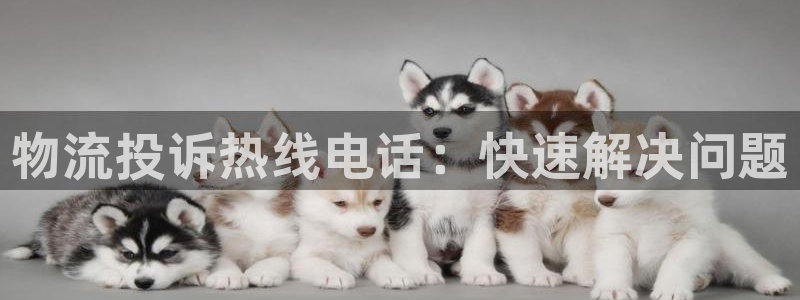 28圈注册教程：物流投诉热线电话：快
